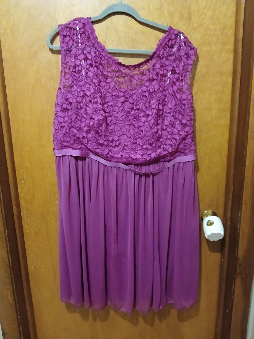 Sleeveless Lace Bodice Mini Dress in Plum
